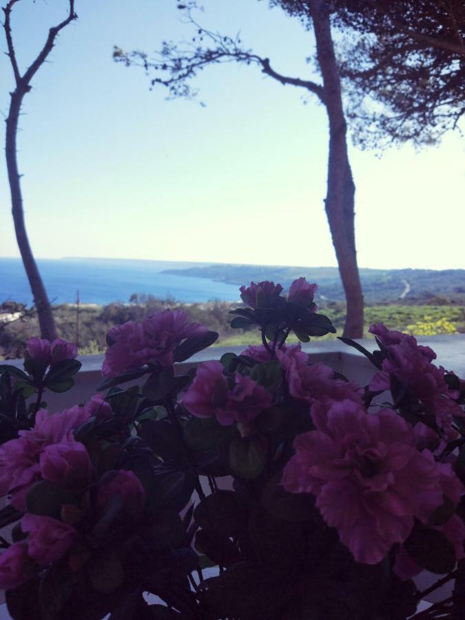 Villa Alda - Bilocali Vista Mare サンタ・チェザーレア・テルメ エクステリア 写真