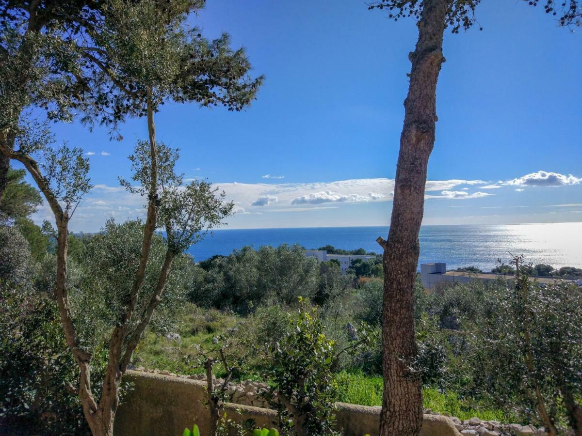 Villa Alda - Bilocali Vista Mare サンタ・チェザーレア・テルメ エクステリア 写真
